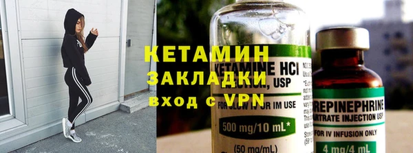 шишки Белокуриха