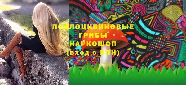 шишки Белокуриха