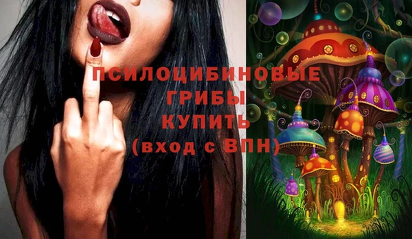 прущая мука Богородск