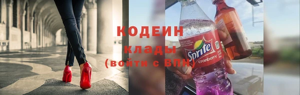 ГАЛЛЮЦИНОГЕННЫЕ ГРИБЫ Богданович