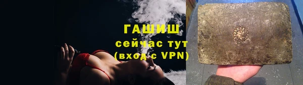 шишки Белокуриха