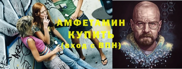 шишки Белокуриха