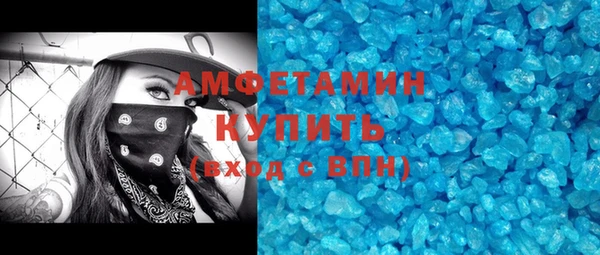 ГАЛЛЮЦИНОГЕННЫЕ ГРИБЫ Богданович