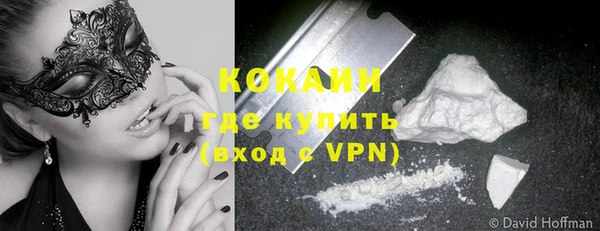 шишки Белокуриха