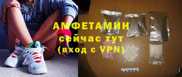 ГАЛЛЮЦИНОГЕННЫЕ ГРИБЫ Богданович