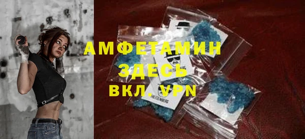 шишки Белокуриха