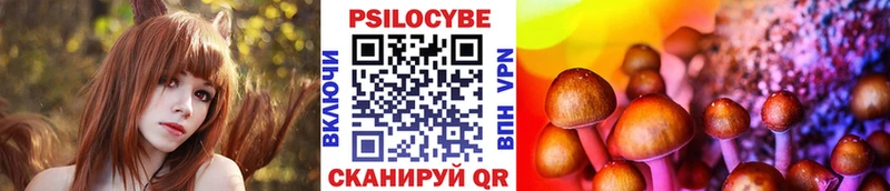 Псилоцибиновые грибы MAGIC MUSHROOMS кракен как войти Сердобск закладки